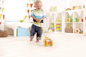 push&pul, regenboog, hape, hout,