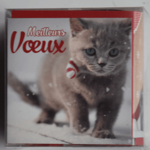 Doosje 24 kerstkaarten Poes (Frans)