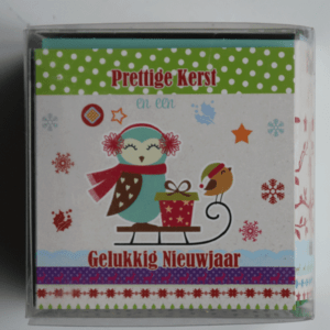 Doosje 24 kerstkaarten Sneeuw
