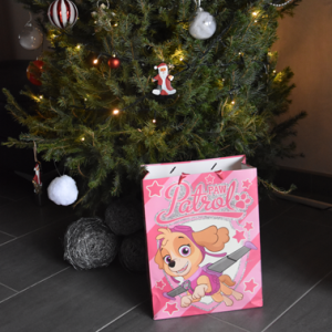 Roze Paw Patrol tas: de leukste kleuterspullen in 1 tas