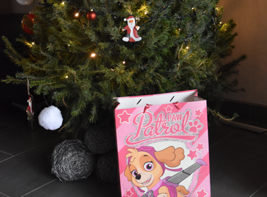 Roze Paw Patrol tas: de leukste kleuterspullen in 1 tas