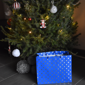 Blauwe tas bolletjes: de leukste lagere schoolspullen in 1 tas - Jongen