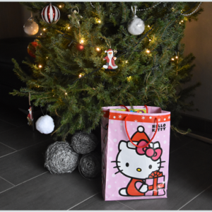 Roze tas Hello Kitty: allemaal leuke spullen voor een kleutermeisje in 1 tas