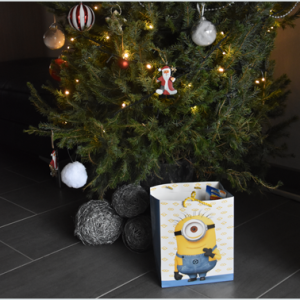 Minion tasje: leuke spullen voor jongen (begin lagere school) in 1 tas