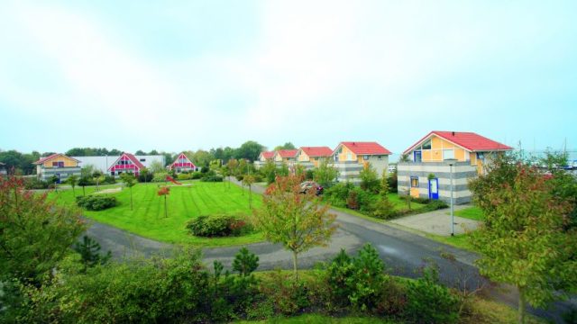42296.jpg