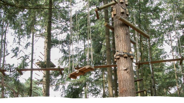 Klimbos-Brabantse-Wal1.jpg