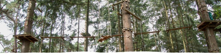 Klimbos-Brabantse-Wal1.jpg