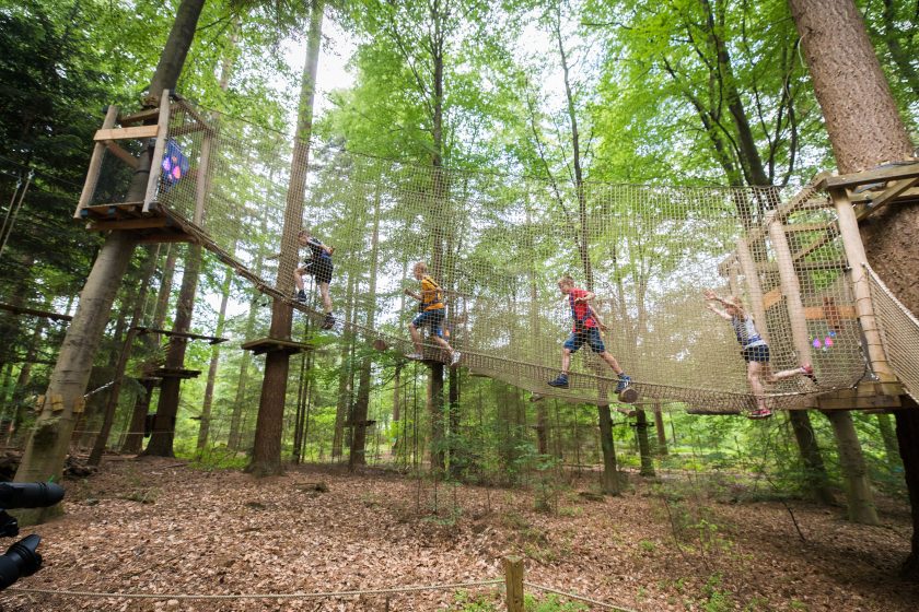 Klimbos-Veluwe1.jpg