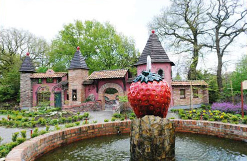 aardbeienland-1.jpg