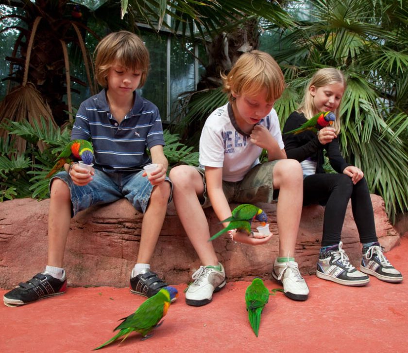 avifauna-1.jpg