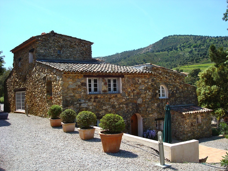 large_DSC03681.jpg