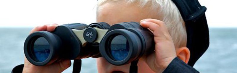 media_71_50712_w1549_h250_crop-e1597584268421.jpg